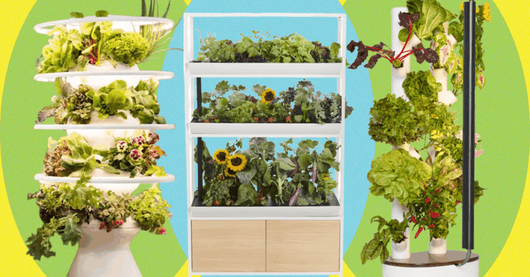 Best Indoor Garden Systems I’ve Been Testing All Year (2026) Best Indoor Garden Systems I’ve Been Testing All Year (2026)